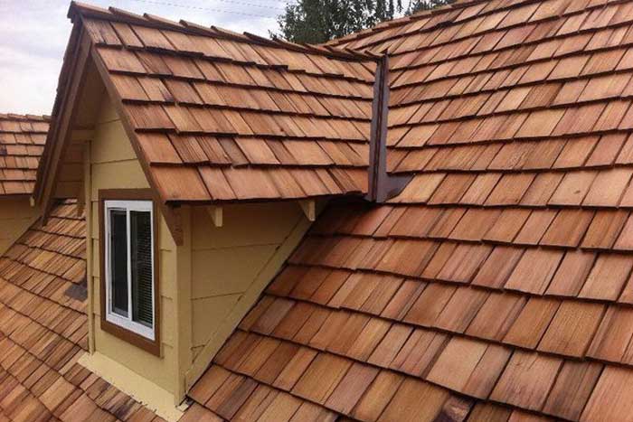 roof cleaning companies