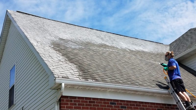 Roof cleaning Tavares, FL